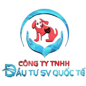 Công ty tnhh đầu tư sv quốc tế